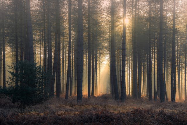 Marley Solicitors - Nottinghamshire